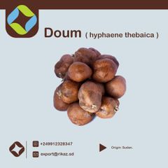 High quality Doum palm , Hyphaene Thebaica doum Brand Name Rikaz Quality High Quality Model Number organic Doum Packaging plastic bags 50 - Image 2