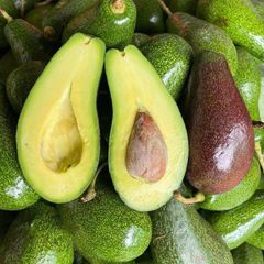 Premium Quality Fresh Mexican Avocado Fresh Fruit Hass Avocados for Sale Fresh Organic Mexican Avocado - Image 4