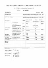 Test Report for FFP3 certificate from Shandong Hunglin Wood Industry Co., Ltd.
