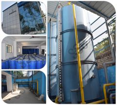 Hot Selling Premium Quality Bulk 100% Pure and Natural Olive Cold Press Carrier Oil from Trusted Manufacturer - Image 5