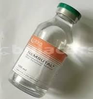Buy High-quality Nembutal Pentobarbital Sodium Powder supplied by HISH 82 RESOURCES. Bulk wholesale pricing is $150 per Gram with a minimum order of 15 Gram. Inquiry for latest prices. - Image 1