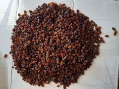 Sultana Raisins Quality AAA Packaging 12.5 kg - Image 1