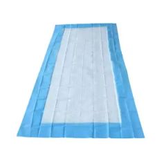 Antibacterial Disposable Bed Pad for Hospital and Nursing Age Adult Color Blue Backsheet PE Folded Folded OEM Available Absorbent High - Fujian Liao Paper Co., Ltd.