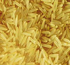 Basmati Golden Sella 1509 - Image 3