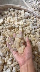Gum Copal - Image 1