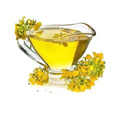 Canola oil – product photo 1, product detail gallery