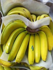Fresh Premium Banana –  Indonesian Fresh Banana, Grade Premium, Yellow Banana, Green Banana, FOB - Image 2