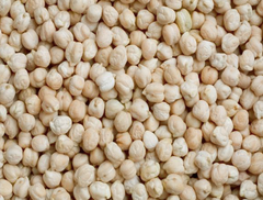 Chickpeas White – product photo 2, product detail gallery