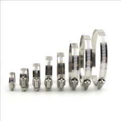 Good Elasticity Bend Resistant Aesthetic American Hose Clamp for Sale - Jinan Hongsheng Industry Development Co., Ltd