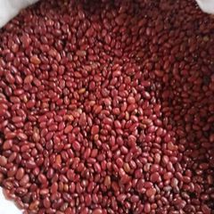 Red kidney bean - Image 1