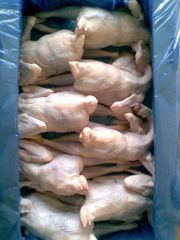 Frozen Chicken