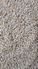 Natural Sesame seeds – product photo 1, product detail gallery