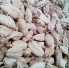 Pigeon Peas, Soya Beans, and Sugar Beans And spices such as Cinnamon, Cardamom, Cloves,coriander,cumin - Image 3