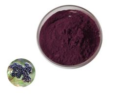 Pure Water Soluble Spray Dried Maqui Berry Concentrate Juice Powder - Image 4