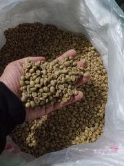 Robusta Java Green Beans Coffee with Max 0.5% Defect, shipping method maritime sea freight, lead time 14-21 days. - Image 1