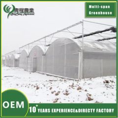 Premium Galvanized Steel Rectangular Profiles for Greenhouse Structures - Image 2