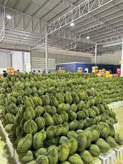 Durian – product photo 15, product detail gallery
