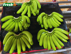 Fresh Banana