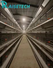 Advanced High-Accuracy Tools for Automatic Chicken Farm Management - Image 5