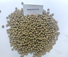 Green Coffee Bean – product photo 5, product detail gallery