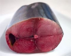 Skipjack Tuna - High Quality Frozen Seafood - Image 2