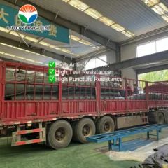 Great Value Geomembrane for Biogas Digester Width 1m~10m Origin China Suface Smooth Surface Smooth HS Code 56039490 Color Black, - Image 2