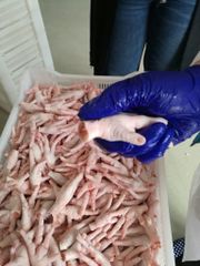 Frozen Chicken