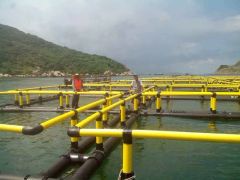 Fish Farming Cage Net HDPE Fishing Net Shape Round Condition New Trademark Souther Material HDPE Pipe HS Code - Image 2