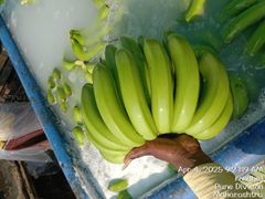 CAVENDISH BANANA – product photo 1, product detail gallery