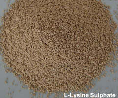 L-Lysine HCl - Image 1