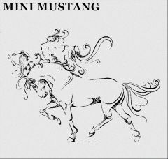 Kunshan Mini Mustang Tech. Co., Ltd.