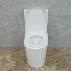 Small Size Eddy Siphonic One Piece Toilet New Design Bathroom CE Wc Commode - Image 6