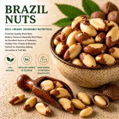 Brazil Nut - Image 1