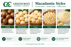 Premium Macadamia Nuts - Image 2
