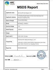 MSDS of NNTN4851A certificate from Big Tree (HK) Techology Co., Ltd.