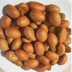 Premium Bitter Kola (Garcinia Kola) – Large Dried Nuts, Cameroon Origin | Bulk Wholesale - Image 3