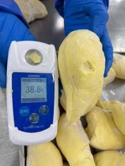 Frozen Monthong Durian, Grade A (with Seed) – product photo 1, product detail gallery