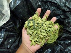 Green Cardamom - Fresh – product photo 4, product detail gallery
