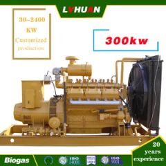 240kw/300kVA 400V/6.3kv/10.5kv Biogas Gas Gngine Generator 6190 Engine Export to Russia Kazakhstan Biogas Plant - Image 2