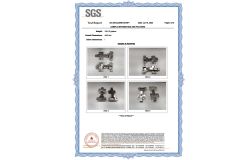 Hinge SGS 2 certificate from Guangdong Blossom Hardware Co., Ltd