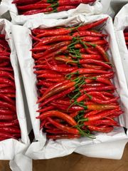 BIG RED CHILI - Image 2