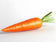 Fresh Carrots Farm Fresh Premium Quality Carrot Supplier Wholesale Bulk Fresh Vegetables - Image 5