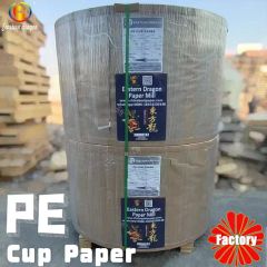 230g Double PE Coated Paper/Tea Cup paper - Image 1