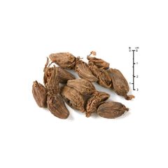 Premium black cardamom available in bulk ideal for spice suppliers and wholesalers - Image 2