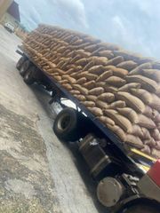 Cocoa beans – product photo 2, product detail gallery