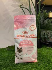 Royal Canin Fit 32 Dry Cats Foods For Sale/Royal Canin Maxi Starter Dog Food/Royal Canin Fit 32 Cat Dry Food (2kg) – product photo 3, product detail gallery