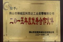 Outstanding partner certificate from Foshan LSD Transmission Equipment Co., LTD
