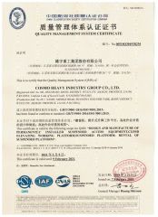 ISO9000 certificate from Wuxi Cosmo Suspended Platform Co., Ltd.