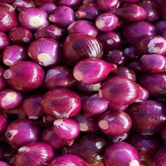 Best Quality Wholesale Cheap Price Organic Fresh Red Onion / Big Onion Newest Crop for Export - Image 2