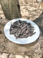 Long Pepper (piper retrofractum) - Image 3